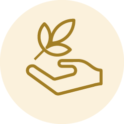 Valeurs de l'entreprise